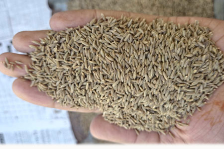 PC – polyester with cotton FABRIC